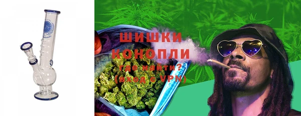 бошки Туринск