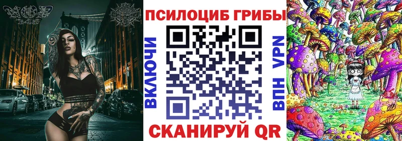 Псилоцибиновые грибы Cubensis  как найти   blacksprut ТОР  Городище 