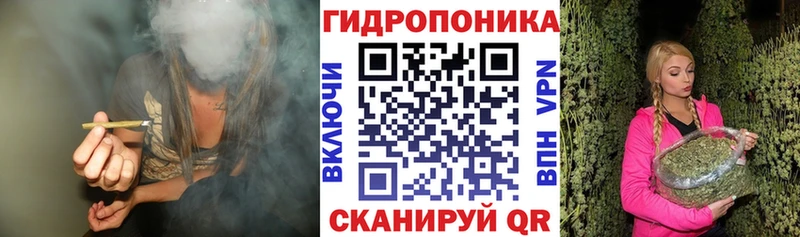 наркотики  Городище  Конопля MAZAR 